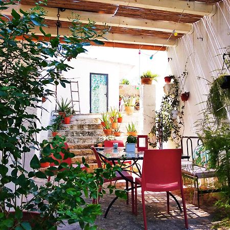 Masseria Delle Rose 1760 阿莱萨诺 外观 照片