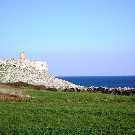Masseria Delle Rose 1760 阿莱萨诺 外观 照片