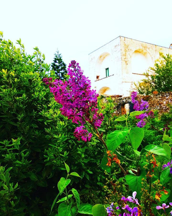 Masseria Delle Rose 1760 阿莱萨诺 外观 照片