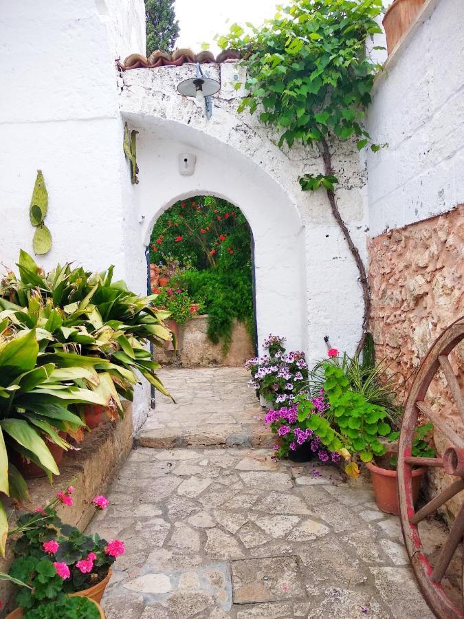 Masseria Delle Rose 1760 阿莱萨诺 外观 照片