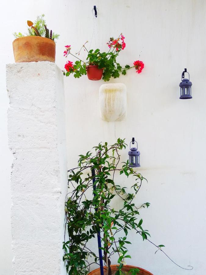 Masseria Delle Rose 1760 阿莱萨诺 外观 照片